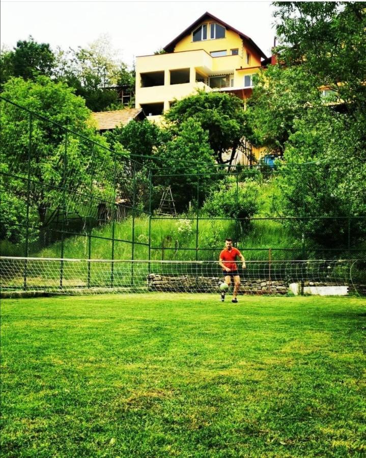 Doftana Apartaments Tesila Exterior photo