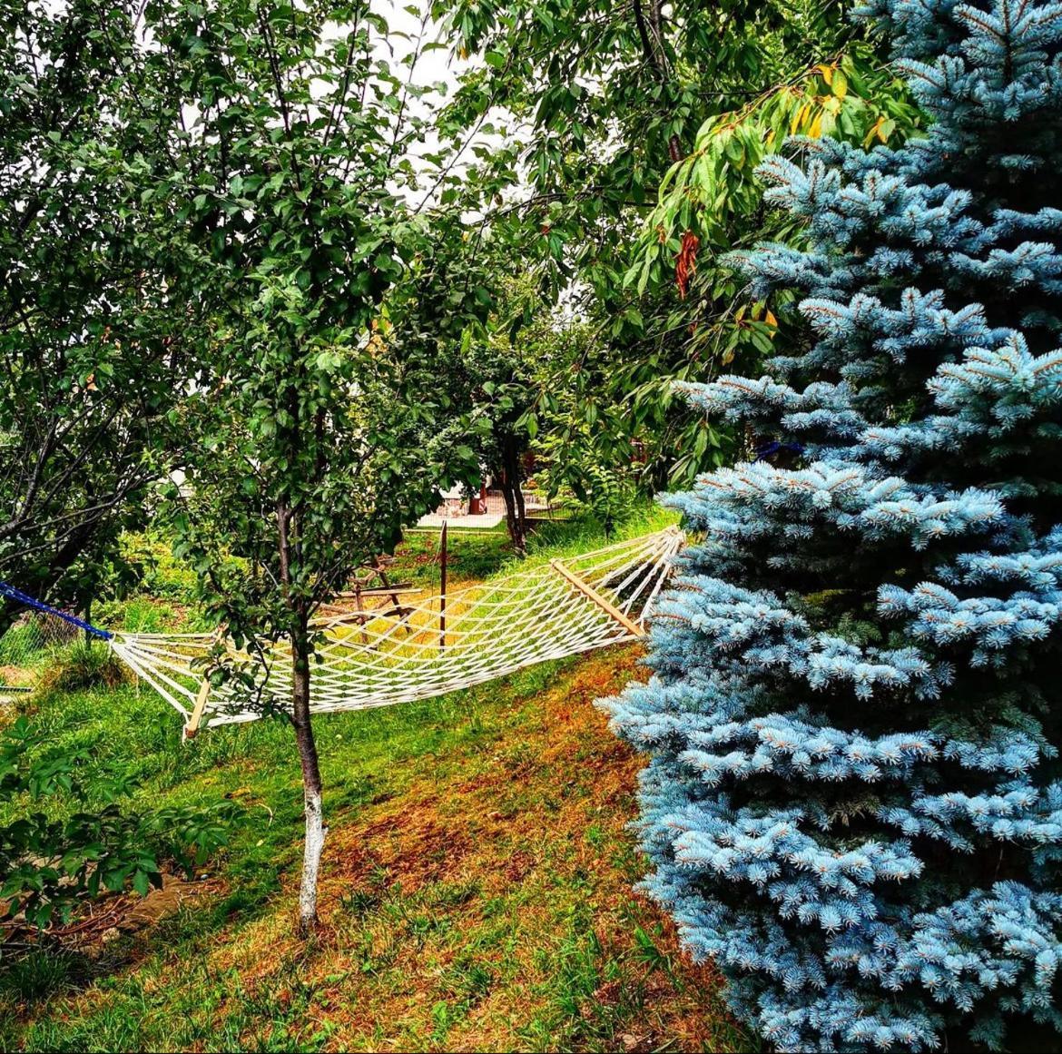 Doftana Apartaments Tesila Exterior photo